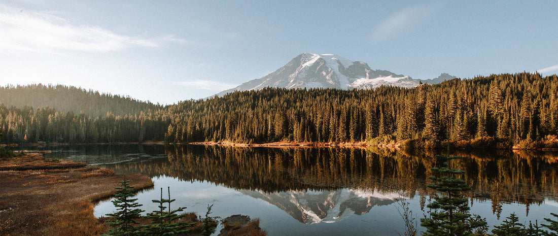 A mountain vista reflecting off a lake, pine forest