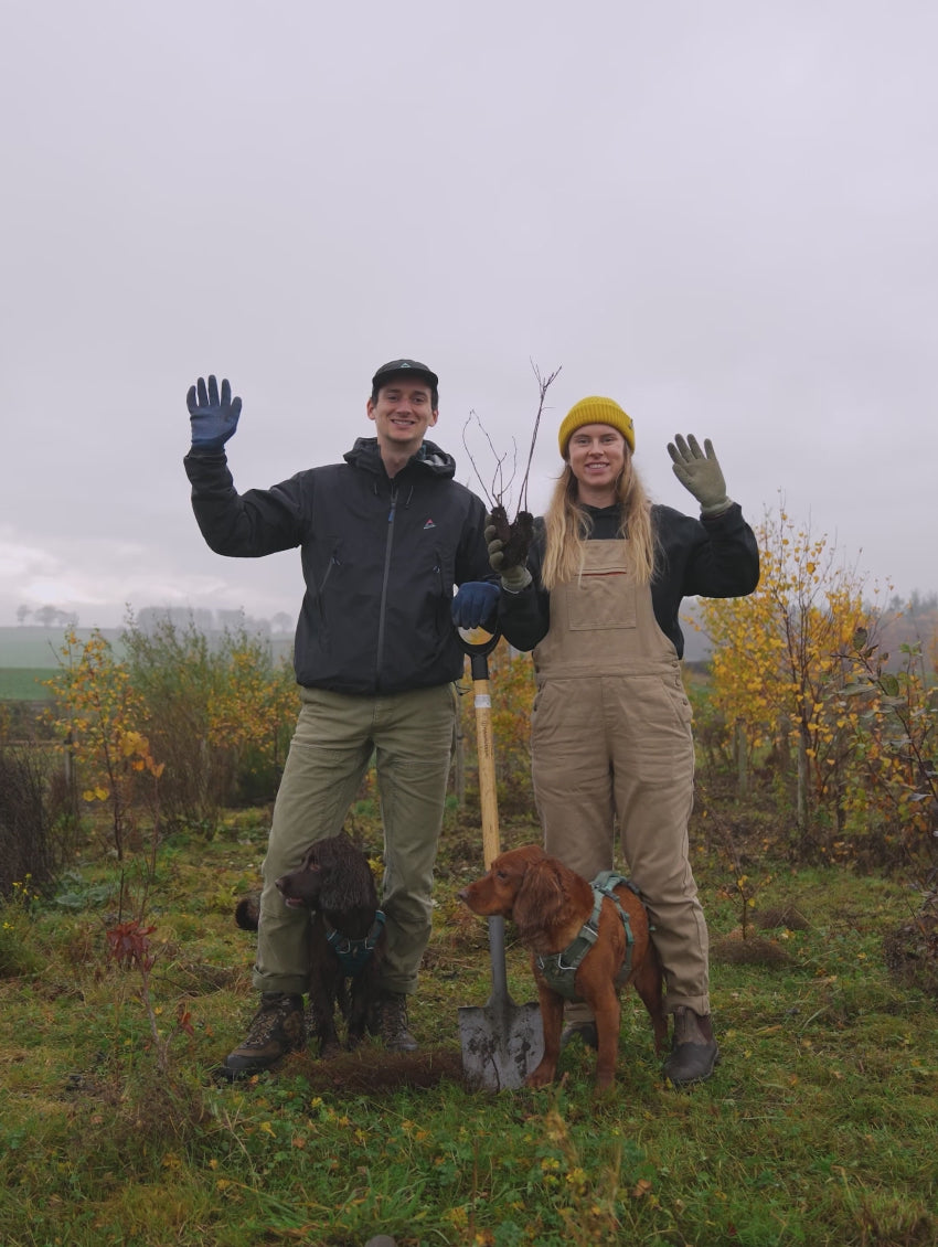 Load video: Team Tree Planting Video